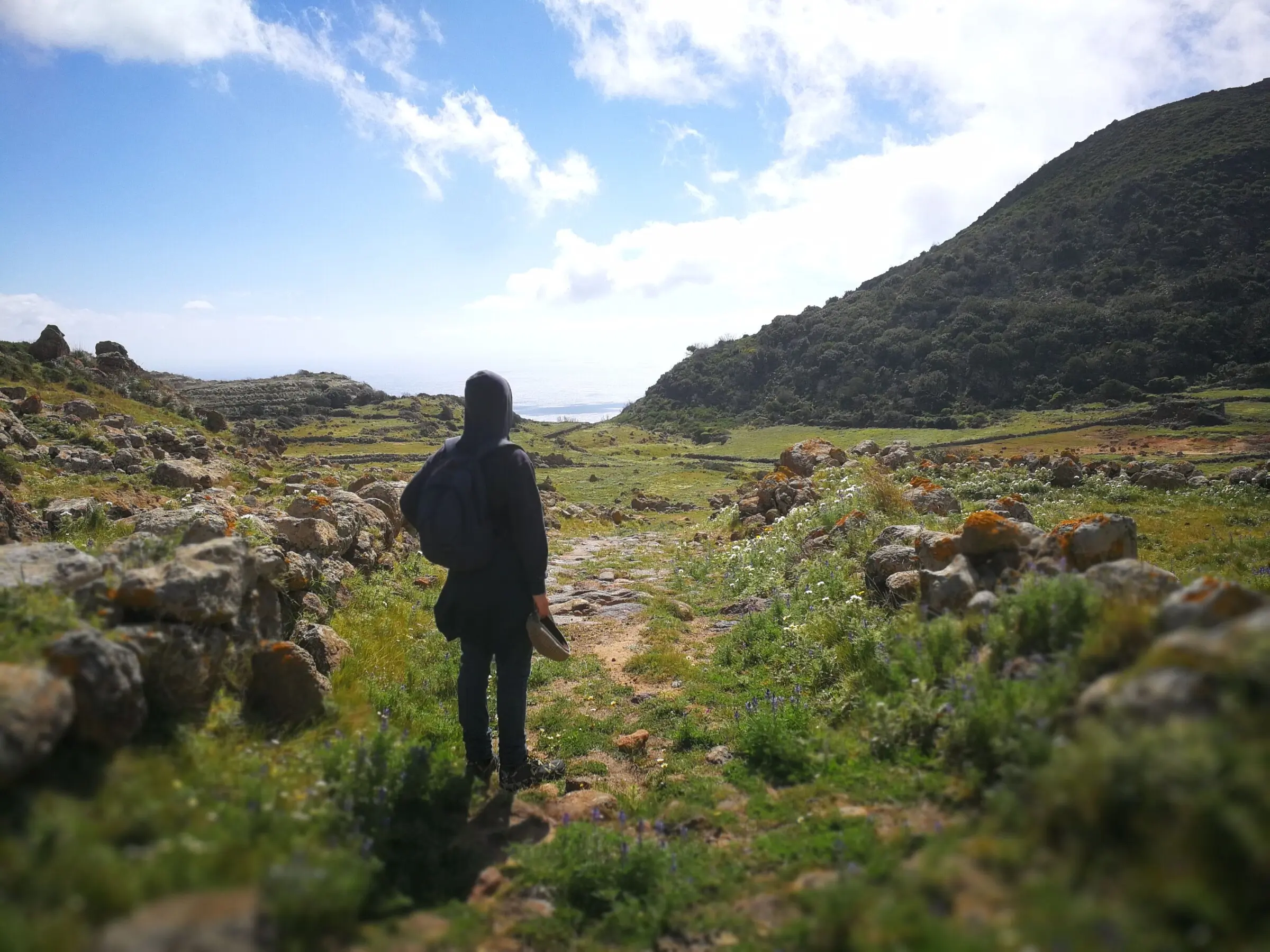 foto natura pantelleria