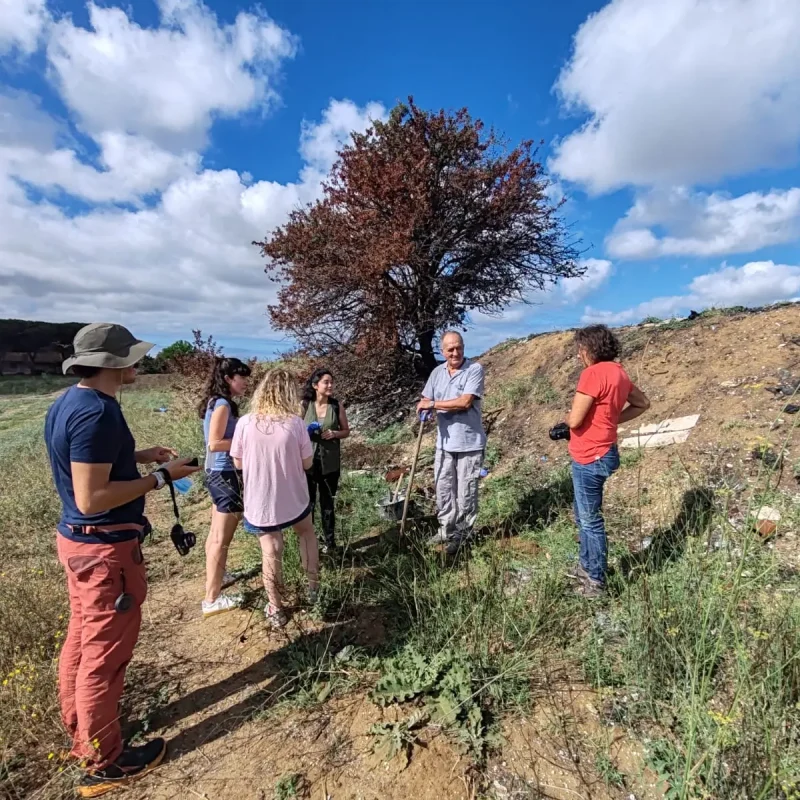 athena valle galeria