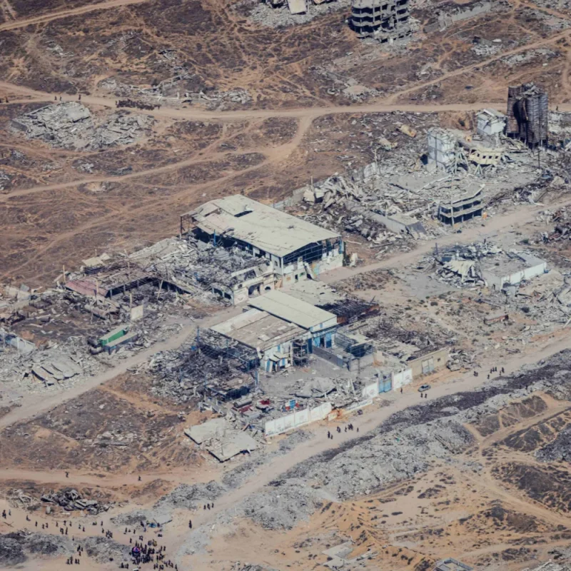 pace e tutela ambiente